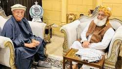 محمود خان اچکزئی نے صدارت کے لیے مولانا فضل الرحمان کی حمایت طلب کر لی